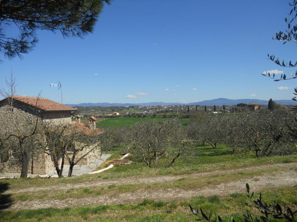 Gasthaus Selva Degli Ulivi Foiano Della Chiana Exterior foto